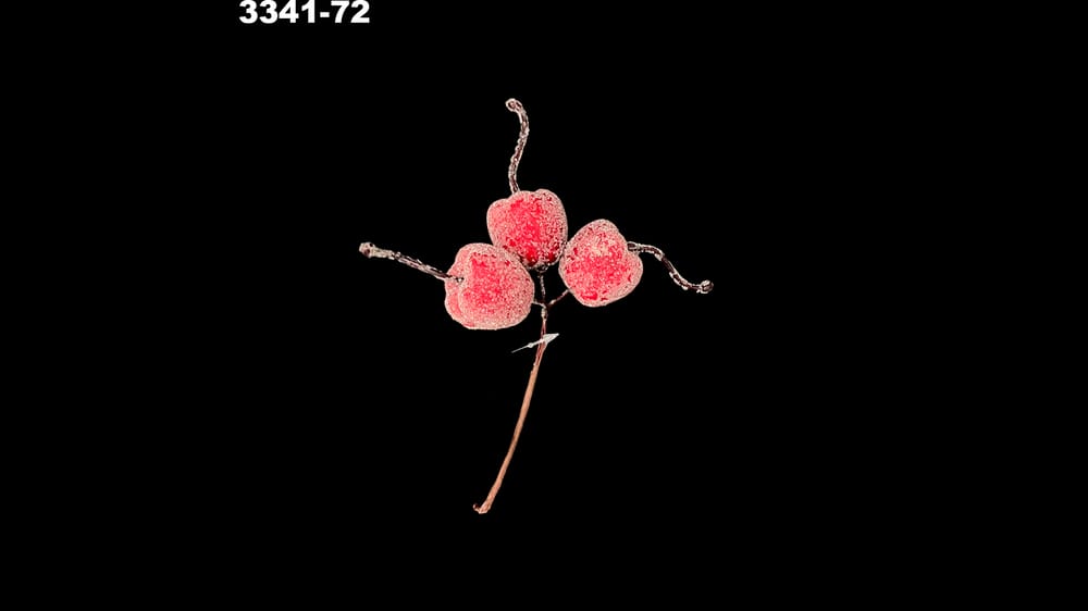 Ramito de tres manzanas con perlina. Mide 3 cm c/u