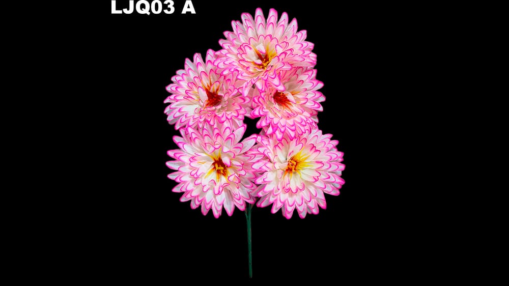 Ramito dhalia tipo gerbera *5. Flor de 16 cm
