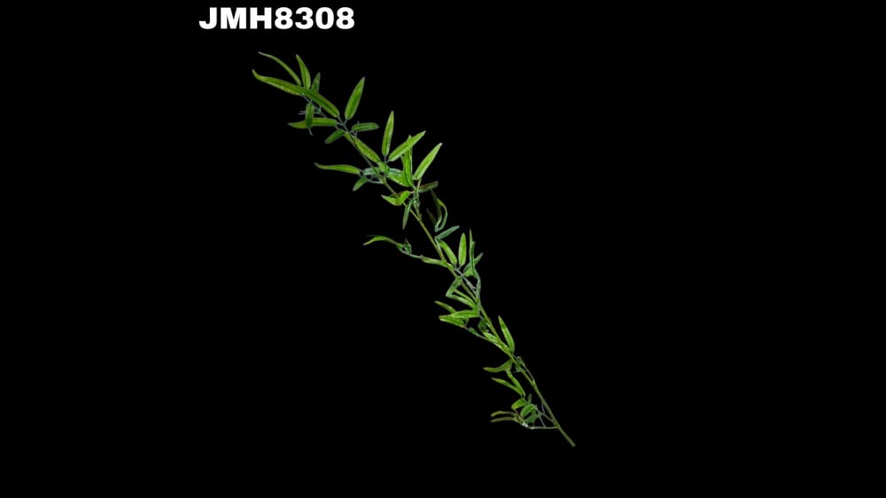 Vara de bambú de 1.5 metros