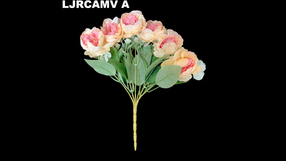 Ramito Camelia vintage *6