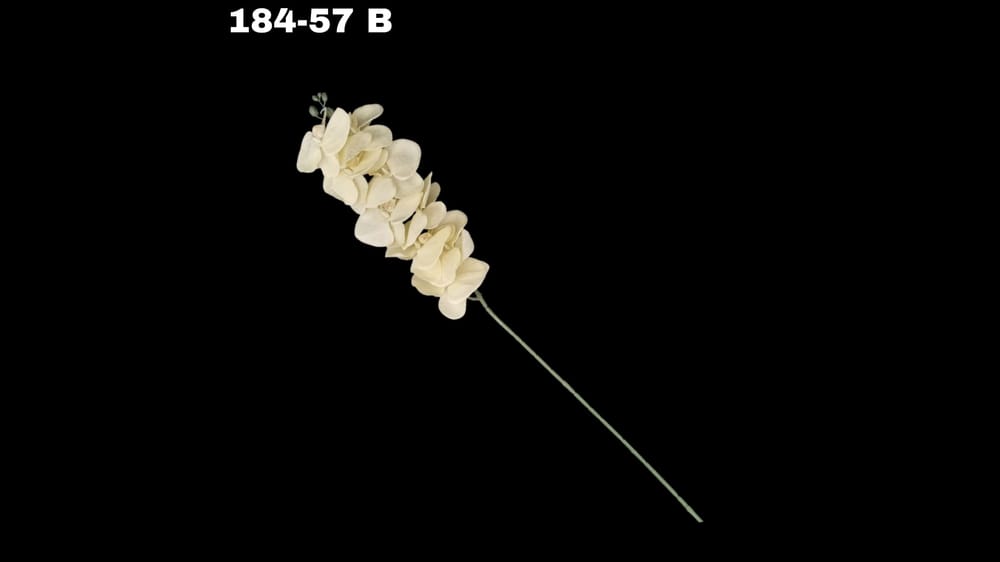 Vara de orquidea jumbo . 92 cm