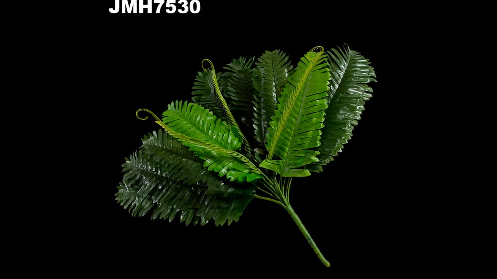 Planta helecho silvestre. Mide 43 cm