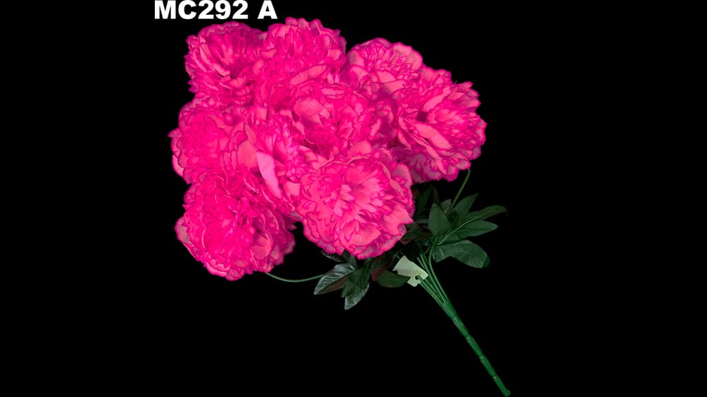 Ramo jumbo de peoni *9 Mide 71 cm