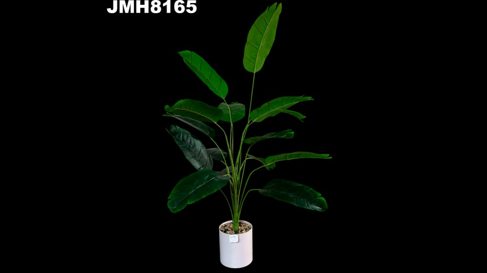 Planta palmera de viajero con base Mide  80 cm