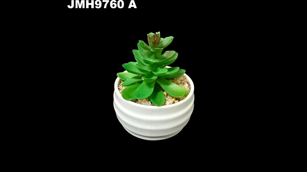 Macetita de cactus varios modelos. 8 cm aprox
