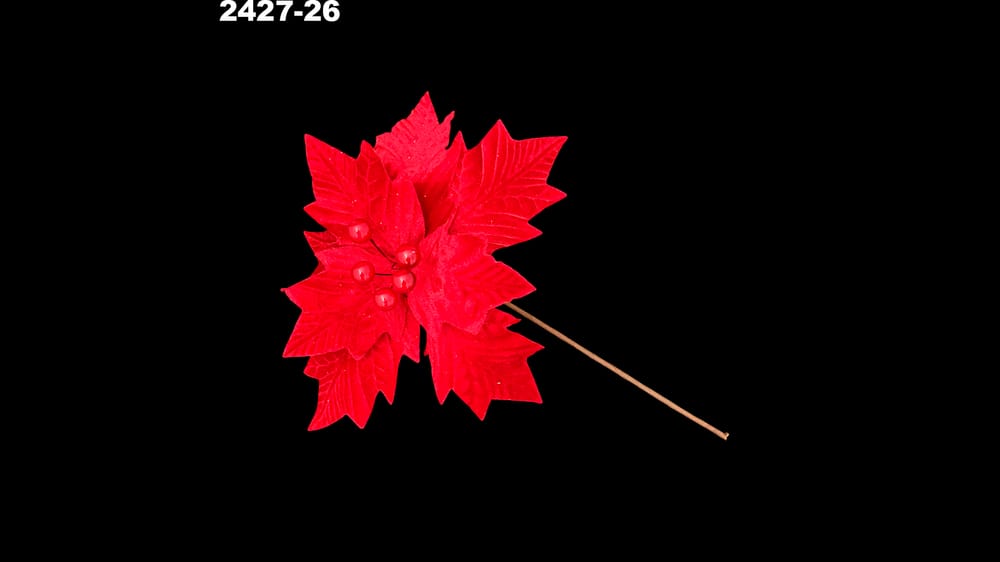 Vara nochebuena terciopelo berries. Flor de 25 cm