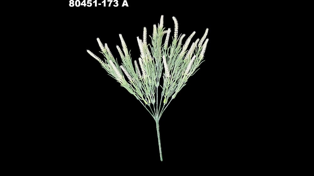 Follaje cenizo de espigas. Mide 35 cm