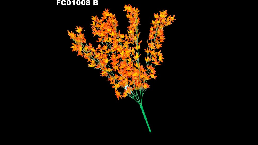 Ramo de flor estrella *5