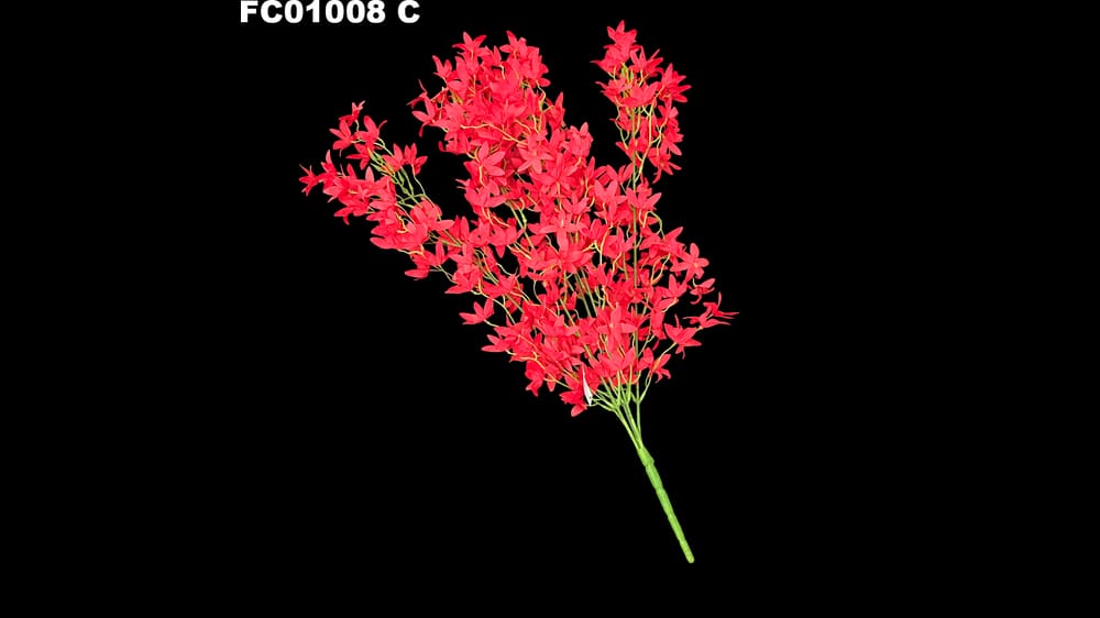 Ramo de flor estrella *5