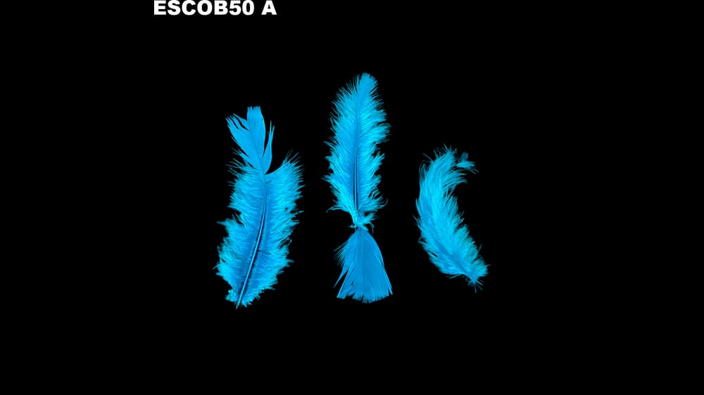 Pluma escobeta bolsa de 50 g