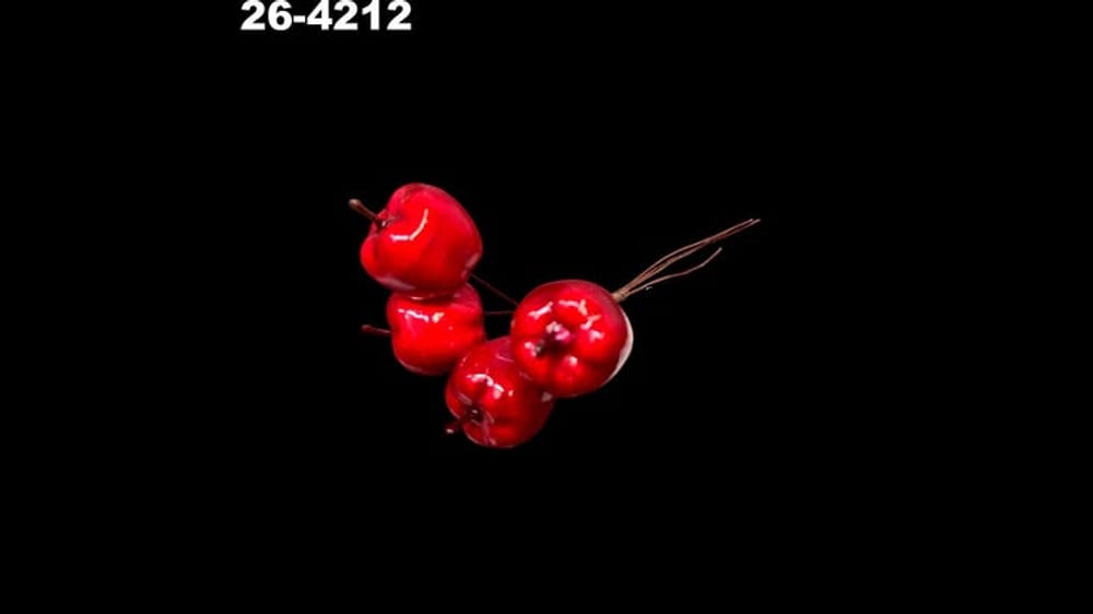 Ramito de 4 manzanas de 2 cm cada una