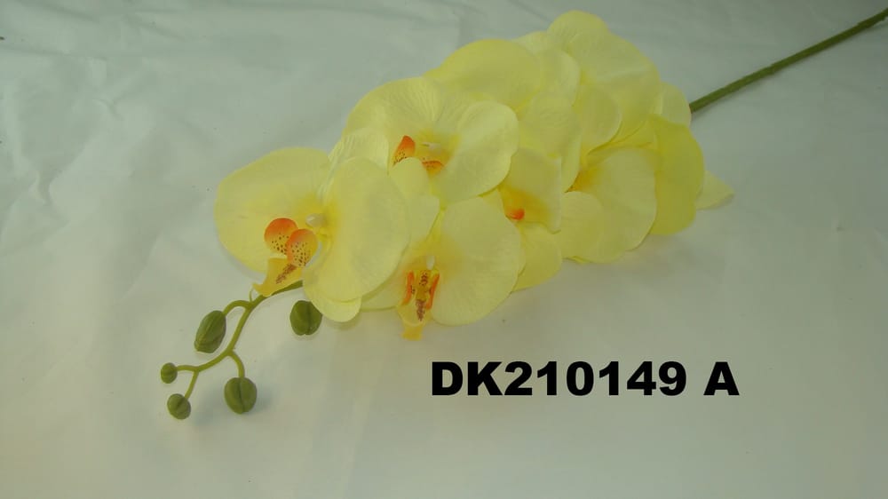 Orquidea mariposa *8