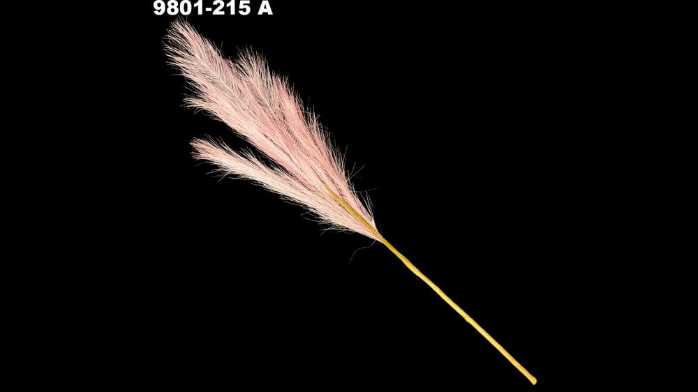 Vara plumilla artirficial. Mide 65 cm