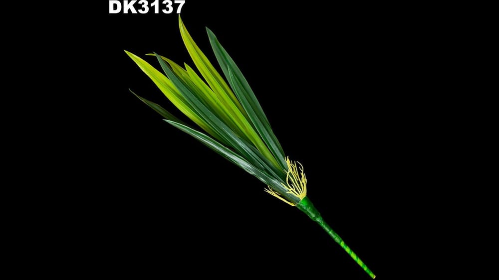 Planta espada de 45 cm