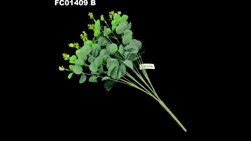 Ramo de eucaliptus *4