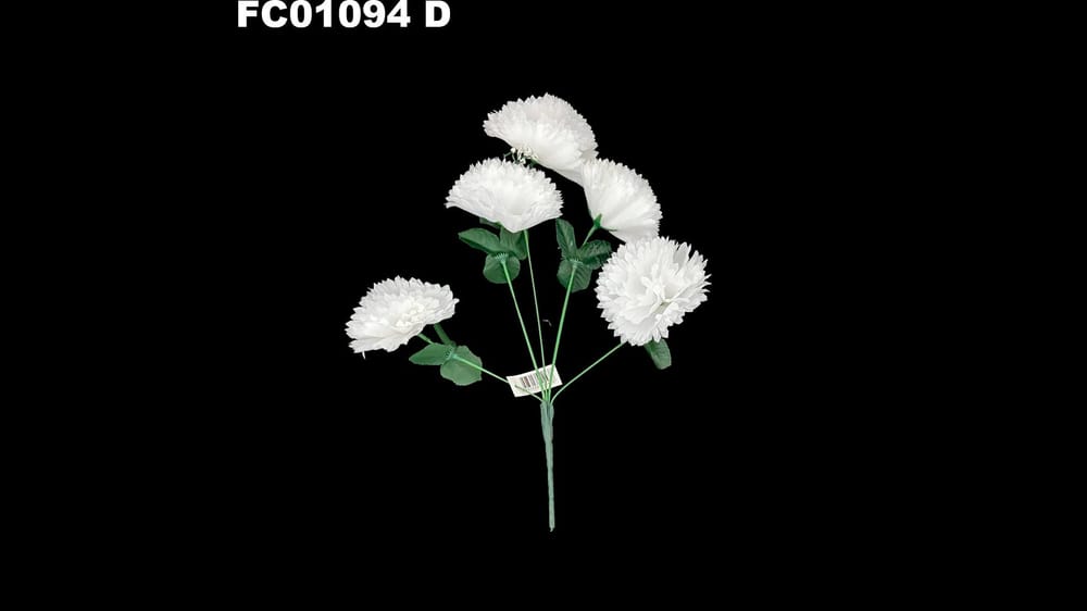 Ramo de Clavel *5 con Nube