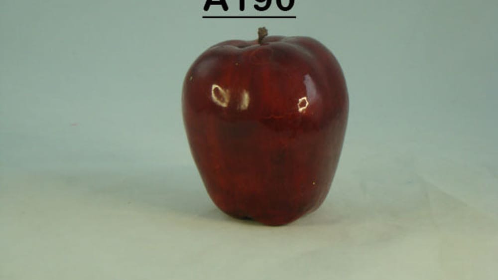 manzana washington (alargada)